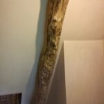 dsc 0037